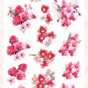 3D Cutting Sheet - Berries Beauties - Floral Elegance - Orchid Grace